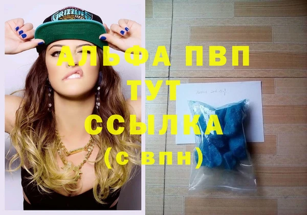 гидра Новокубанск